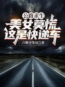 公路求生美女莫慌这是快递车无删减