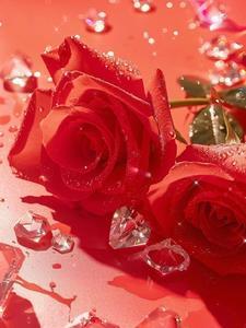 玫瑰人生法语版歌词