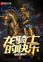 龙骑士的快乐TXT精校版最新章节