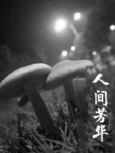 绵延无尽