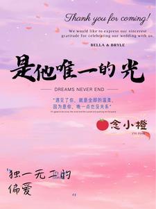 他是她唯一的烛光全文免费阅读